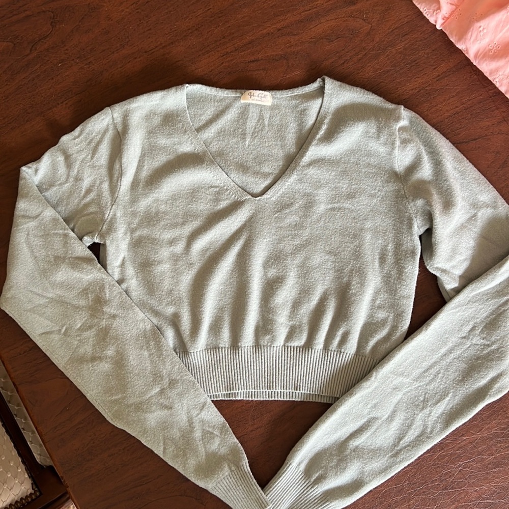 John Galt (Brandy Melville) cropped long sleeve lightweight sweater in green.